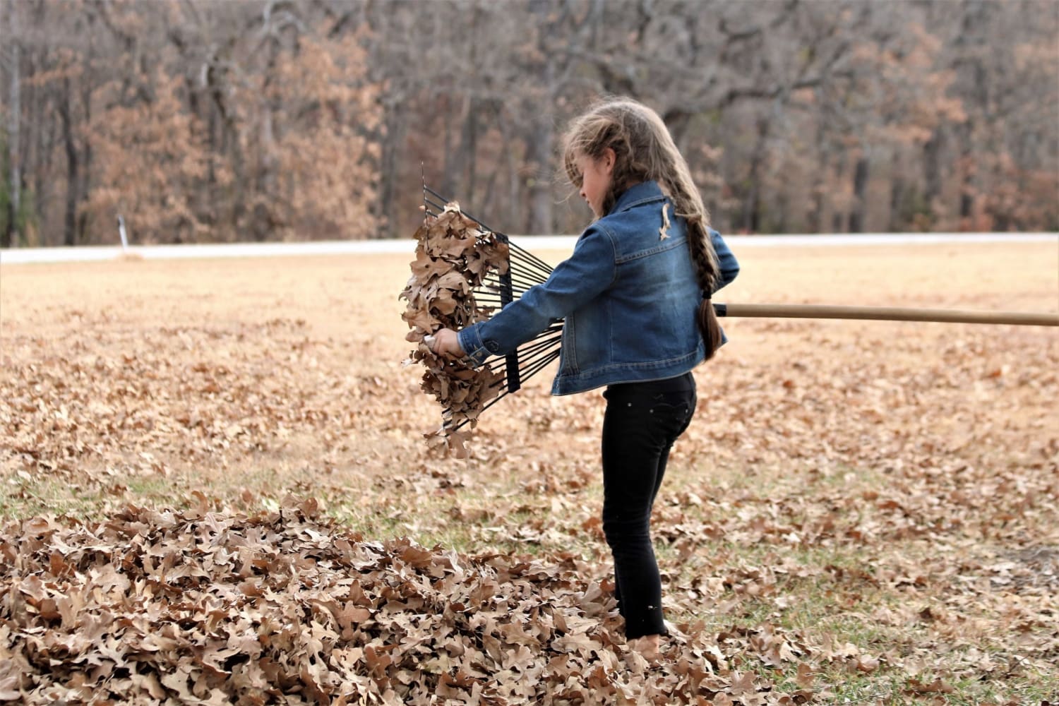Hate raking leaves? There's an easier method.
