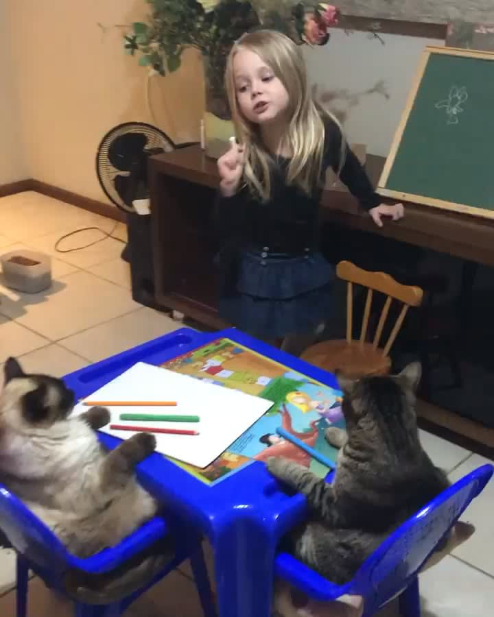 Little girl teaching her cats how to draw a flower