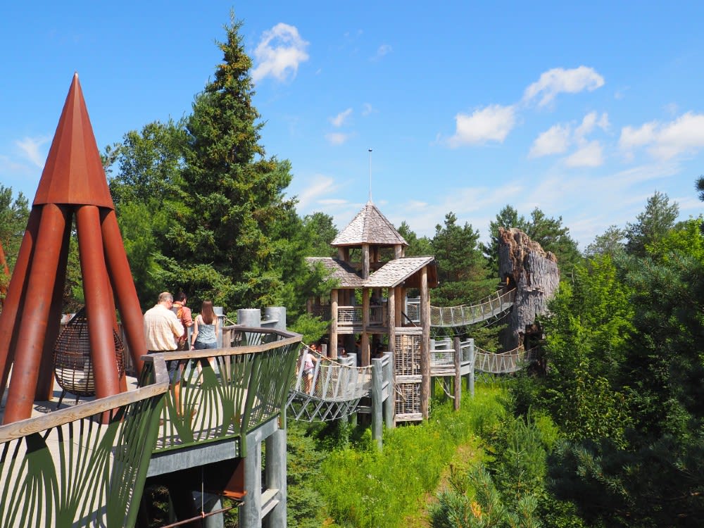 Explore The Wild Center in the Adirondacks - Wanderlust on a Budget