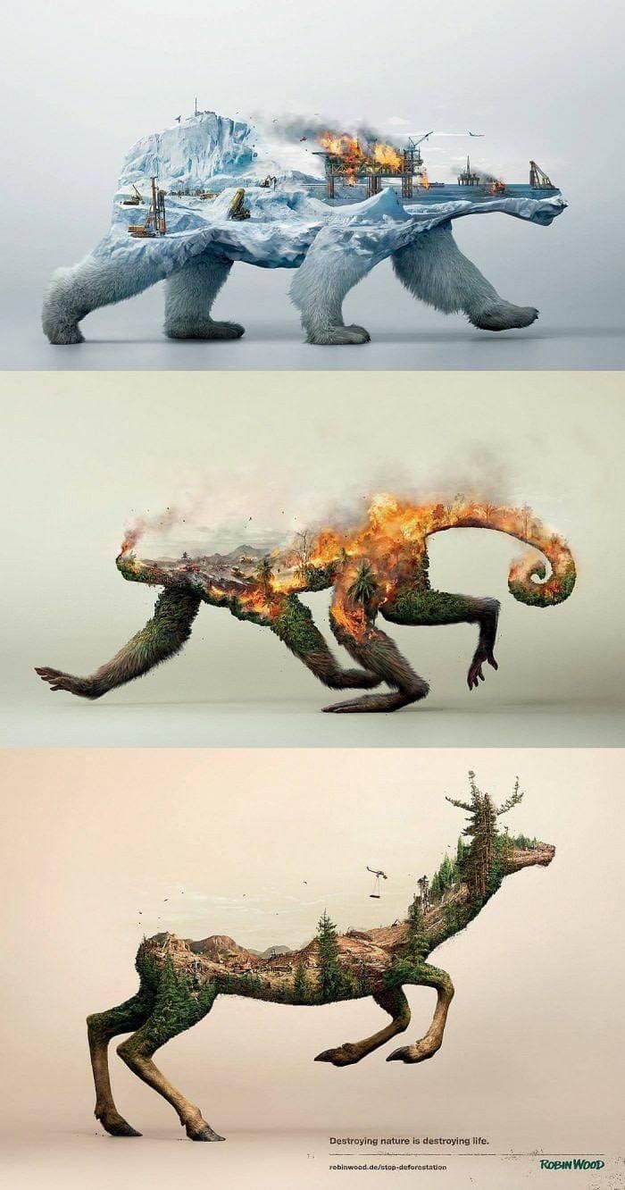 Poster that shows the effect on animals when their ecosystems are destroyed/occupied by humans.
