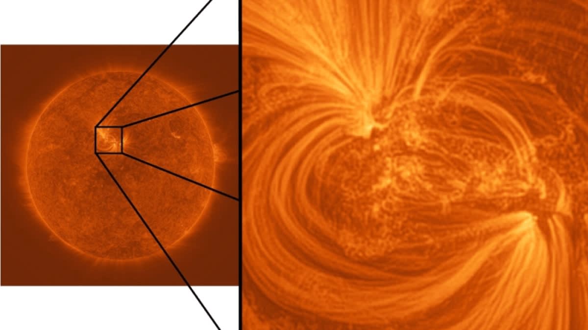 New images of the sun reveal a wondrous sight