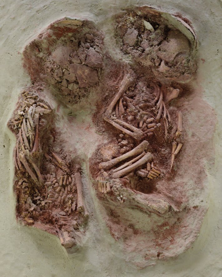 Two baby boys, whose bodies were covered in red ochre and buried under a mammoth bone about 31,000 years ago in what is now northeastern Austria, are the earliest known identical twins.