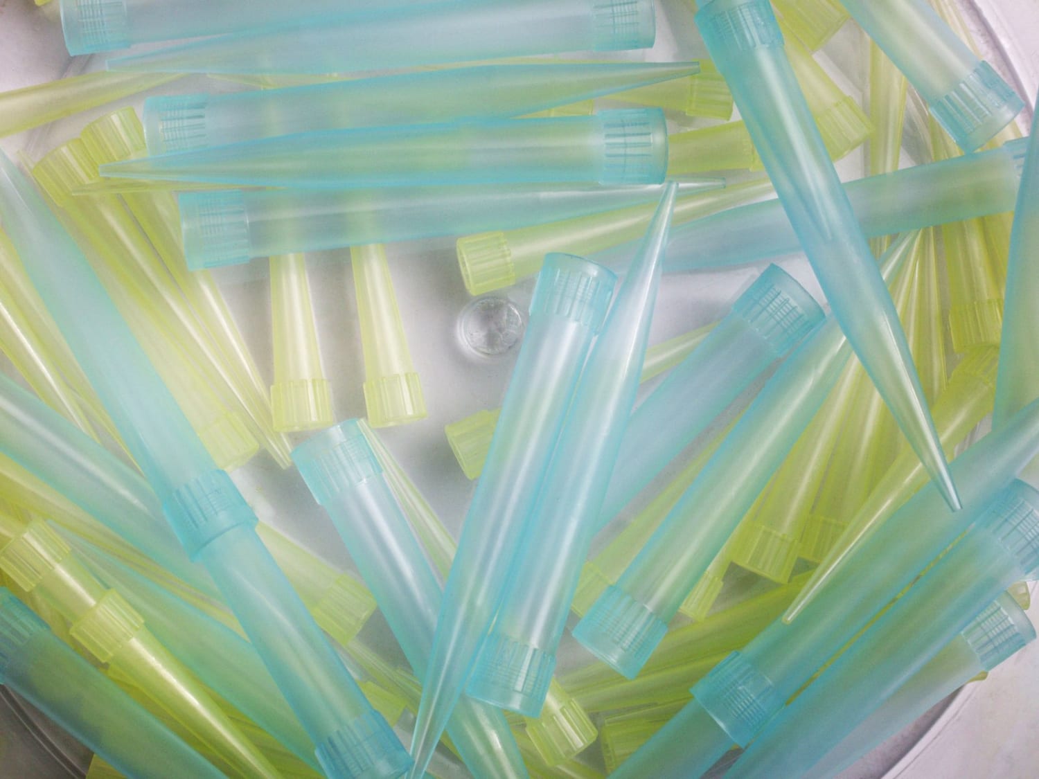 A Shortage of Plastic Pipette Tips Is Delaying Biology Research
