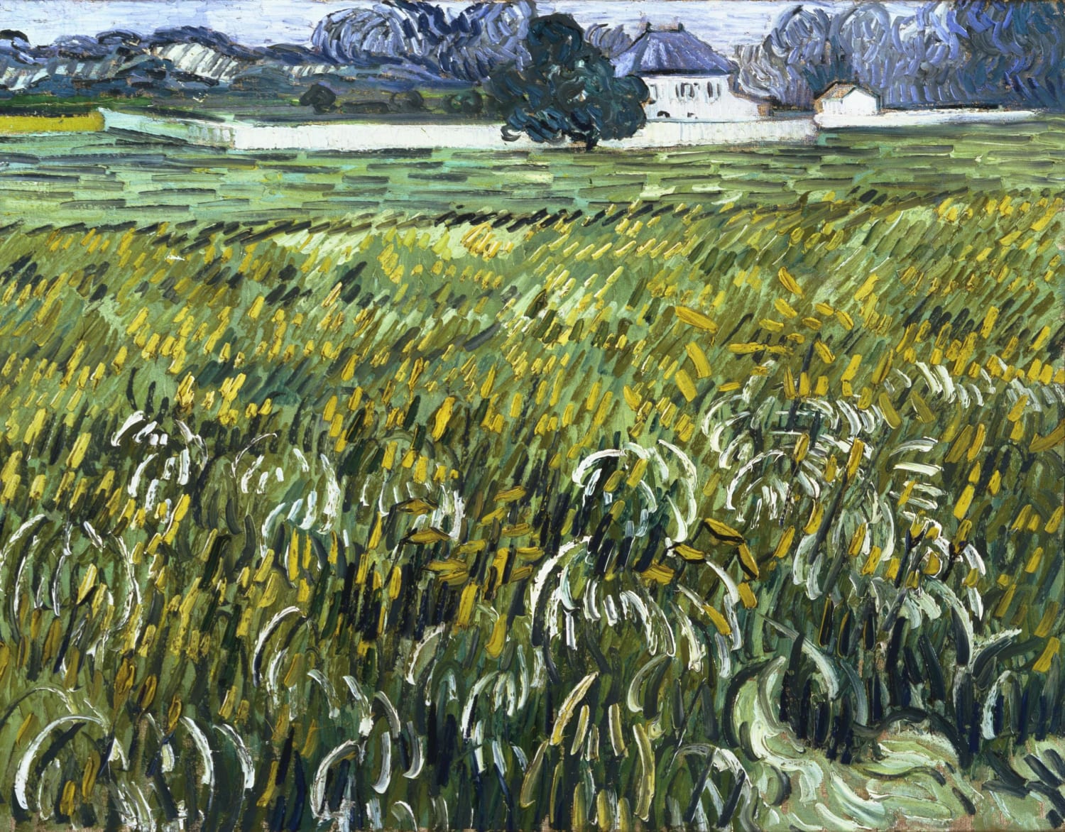 Vincent van Gogh - Wheat Field at Auvers with White House (1890)
