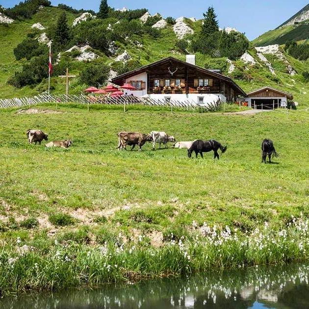 Meet the Village Cheesemakers of Austria's Alpine Cheese Trail
