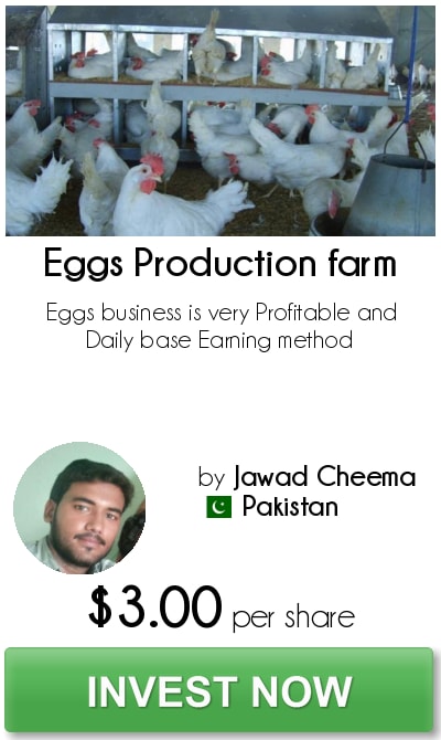 Is hr trends Eggs Production farm worth $3.00
