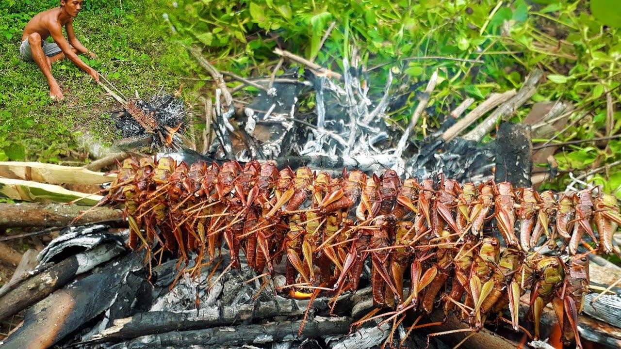Survival Skills: Makan belalang bakar yang gurih dan lezat - Makan di hutan