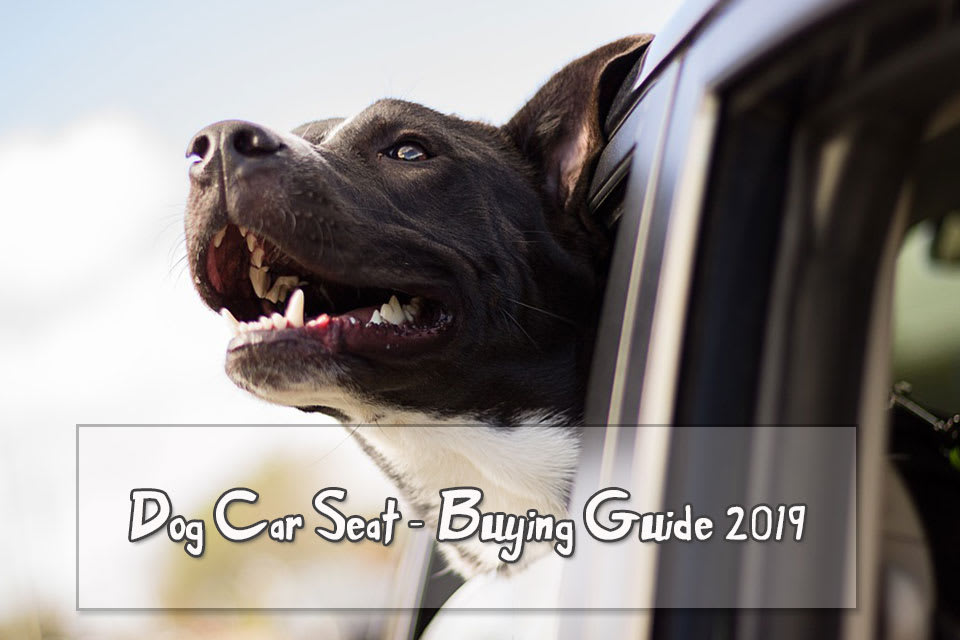Dog Car Seat - Buying Guide 2019