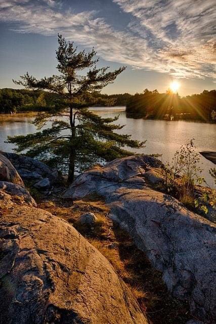 Lone tree on a rock cliff overlooking George Lake at Killarney Provincial Park, Ontario, Canada. (Photo by Peter Law)