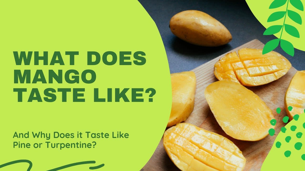 What Does Mango Taste Like? How Does a Mango Taste Like Pine (Tree) or Turpentine and Why?
