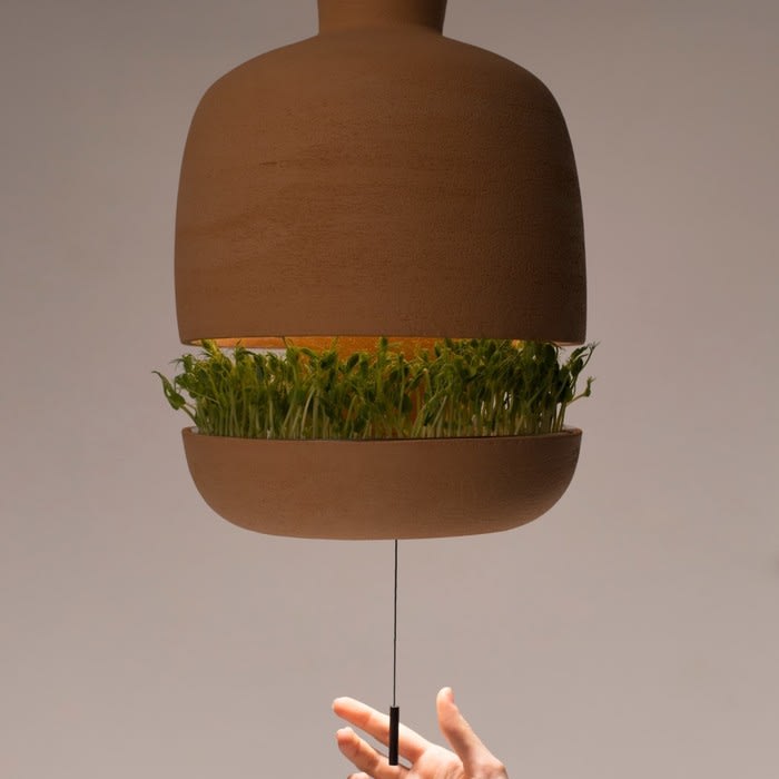 A lamp with a herb-garden? Yes please!