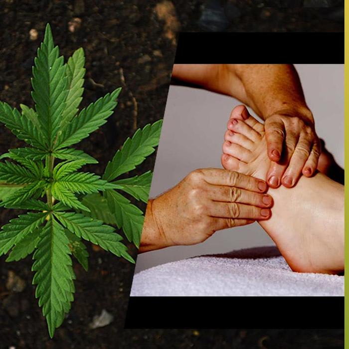 How CBD can be a Curative & Therapeutic Remedy