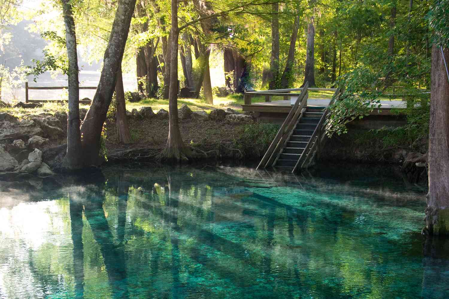 11 of Florida's Best Springs for Swimming, Kayaking, and Wildlife Spotting