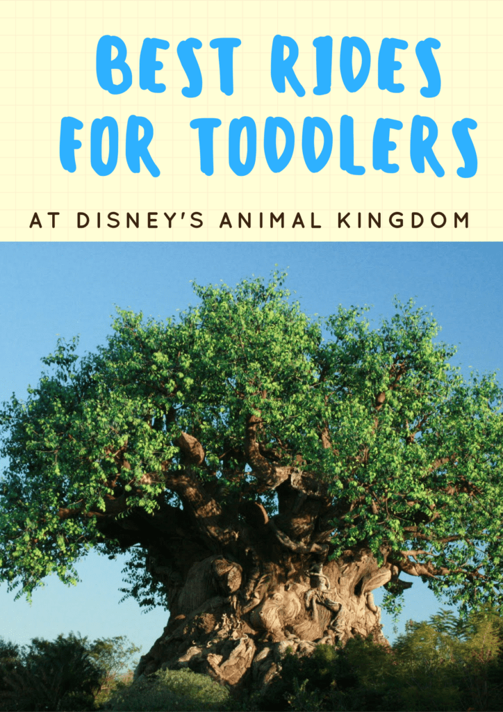 Best Rides for Toddlers at Animal Kingdom -