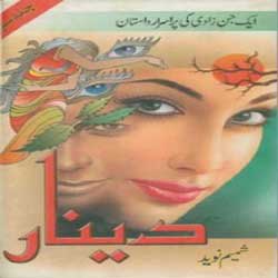 Deenar Complete Novel By Shameem Naveed Pdf Downnload - Free Urdu Novels Online