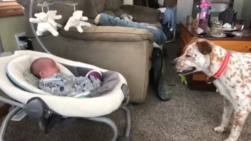 To play with a baby