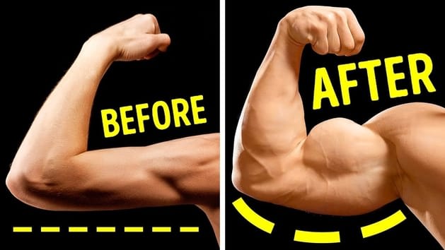 Building Bigger Biceps - Bodybuilding RX
