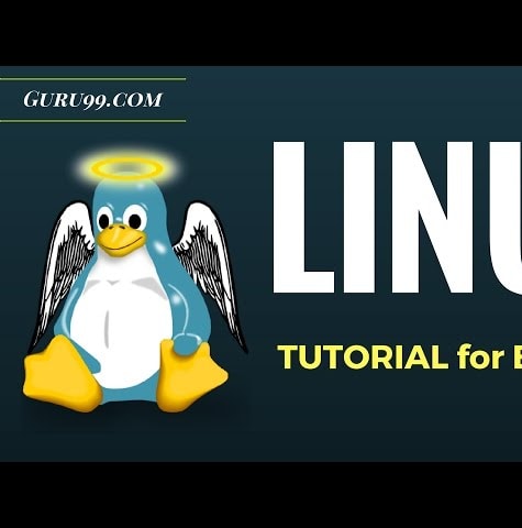 Linux Tutorial for Beginners: Introduction to Linux Operating System