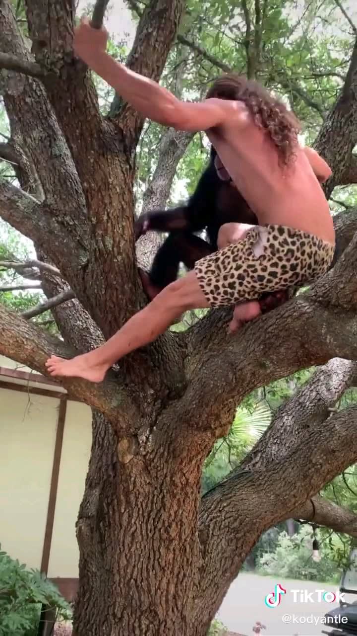 Chimps are strong af