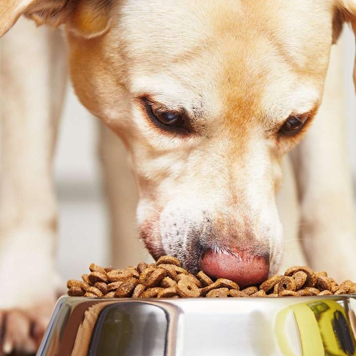 FDA Recalls Several Dry Dog Foods That Could Cause Toxic Levels of Vitamin D