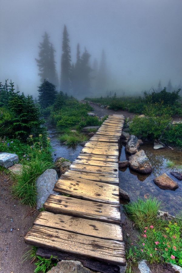 Foggy day at Tipsoo Lake, Mt. Rainier National Park | Beautiful places, National parks, Places to go