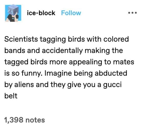 "Imagine being abducted by aliens and they give you a gucci belt."