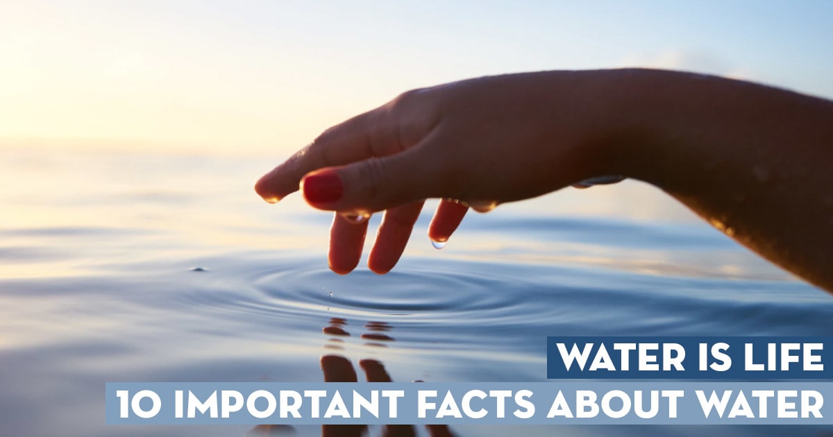 Water is Life: 10 Important Facts About WATER!