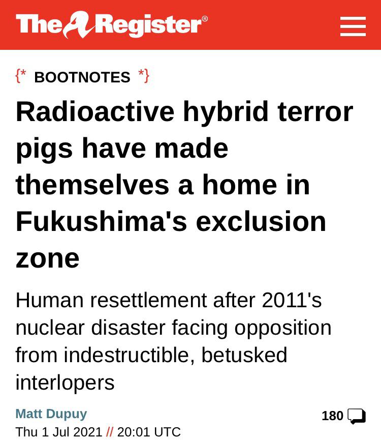 Radioactive hybrid terror pigs was not on my apocalypse bingo card