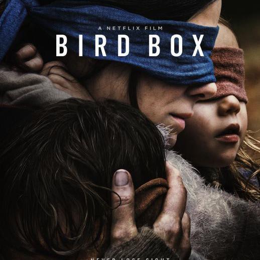 Bird Box Movie