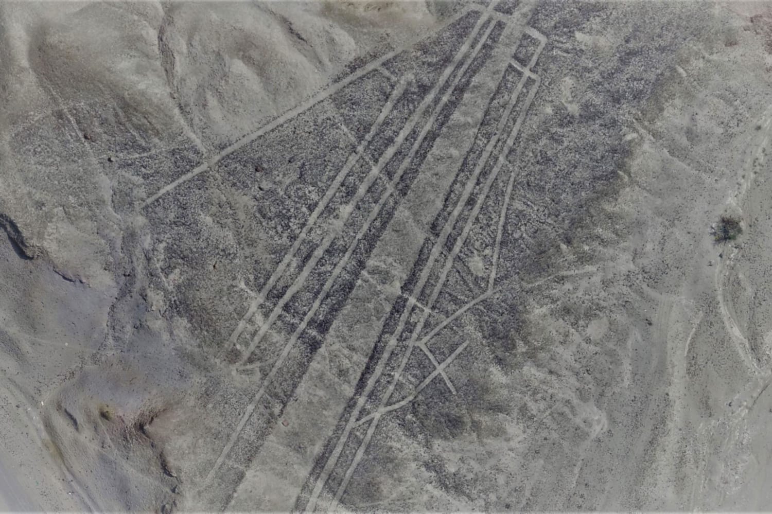 Exclusive: Massive Ancient Drawings Found in Peruvian Desert