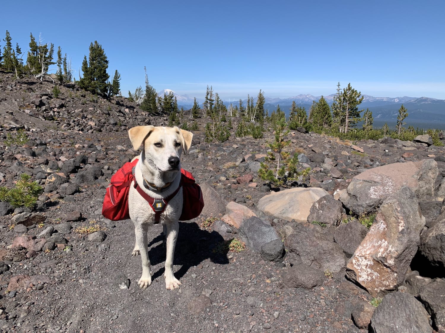 Arlo’s first backpacking adventure!
