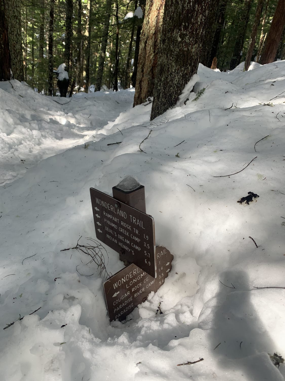 Didn’t realize we were hiking on top of 3 feet of snow until we hit this trailhead. Mount Rainier National Park, US