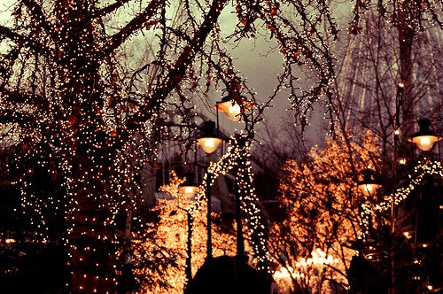 Winter light, Christmas lights, Christmas spirit