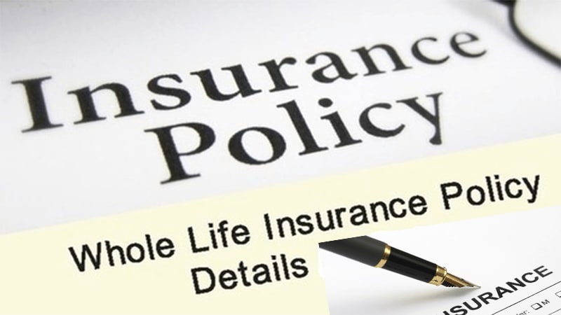 What Is Whole Life Insurance And How Does It Work?