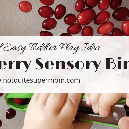 Cranberry Harvest Sensory Bin