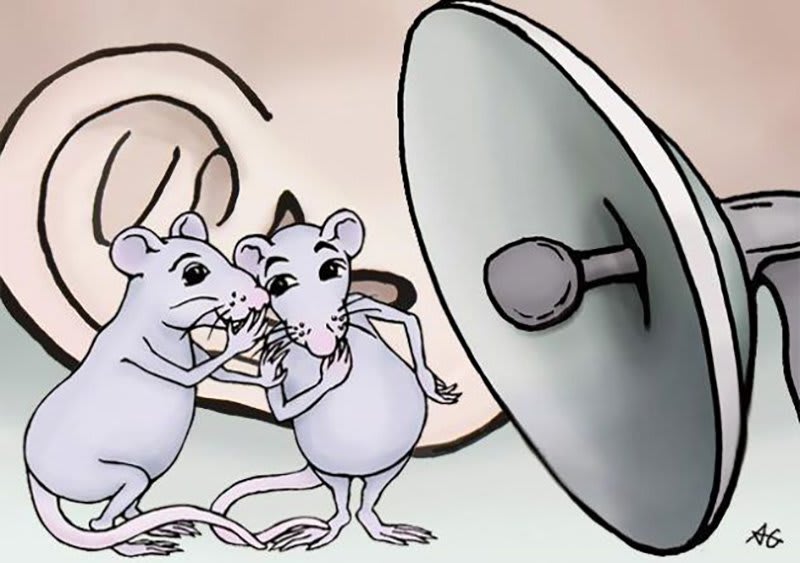Scientists Use AI to Decode the Ultrasonic Language of Rodents