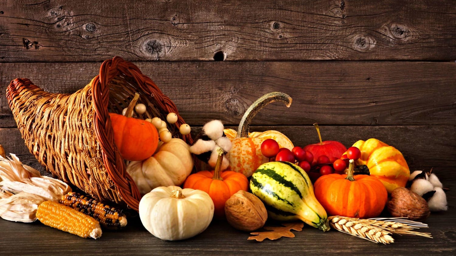 61 Festive Facts About Thanksgiving