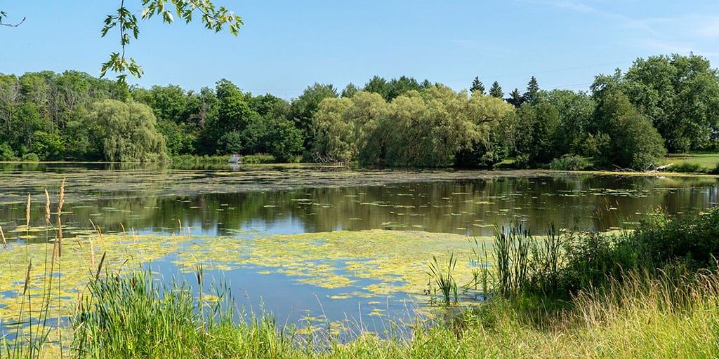 Road Trip from Toronto to Perth County: The Perfect Getaway for Small Towns and Beautiful Nature