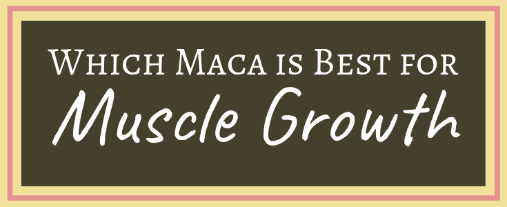 Which Maca is Best for Muscle Growth? | Feel Awesome Company