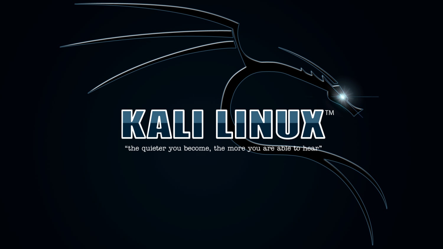 How to Install Kali Linux On VMWare-How to Solution