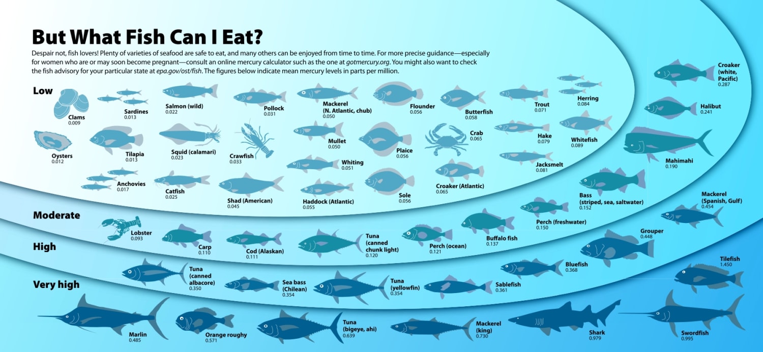 Mercury Levels in Seafood
