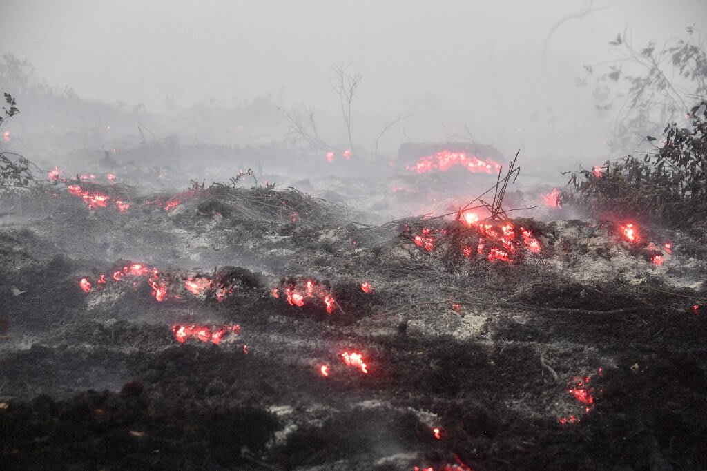 Burning issue: Indonesia fires put palm oil under scrutiny