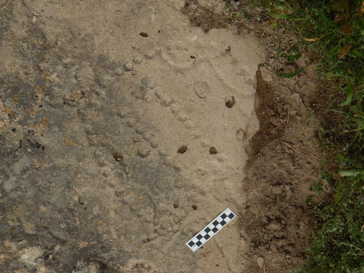 4,000-Year-Old Game Board Carved into the Earth Shows How Nomads Had Fun
