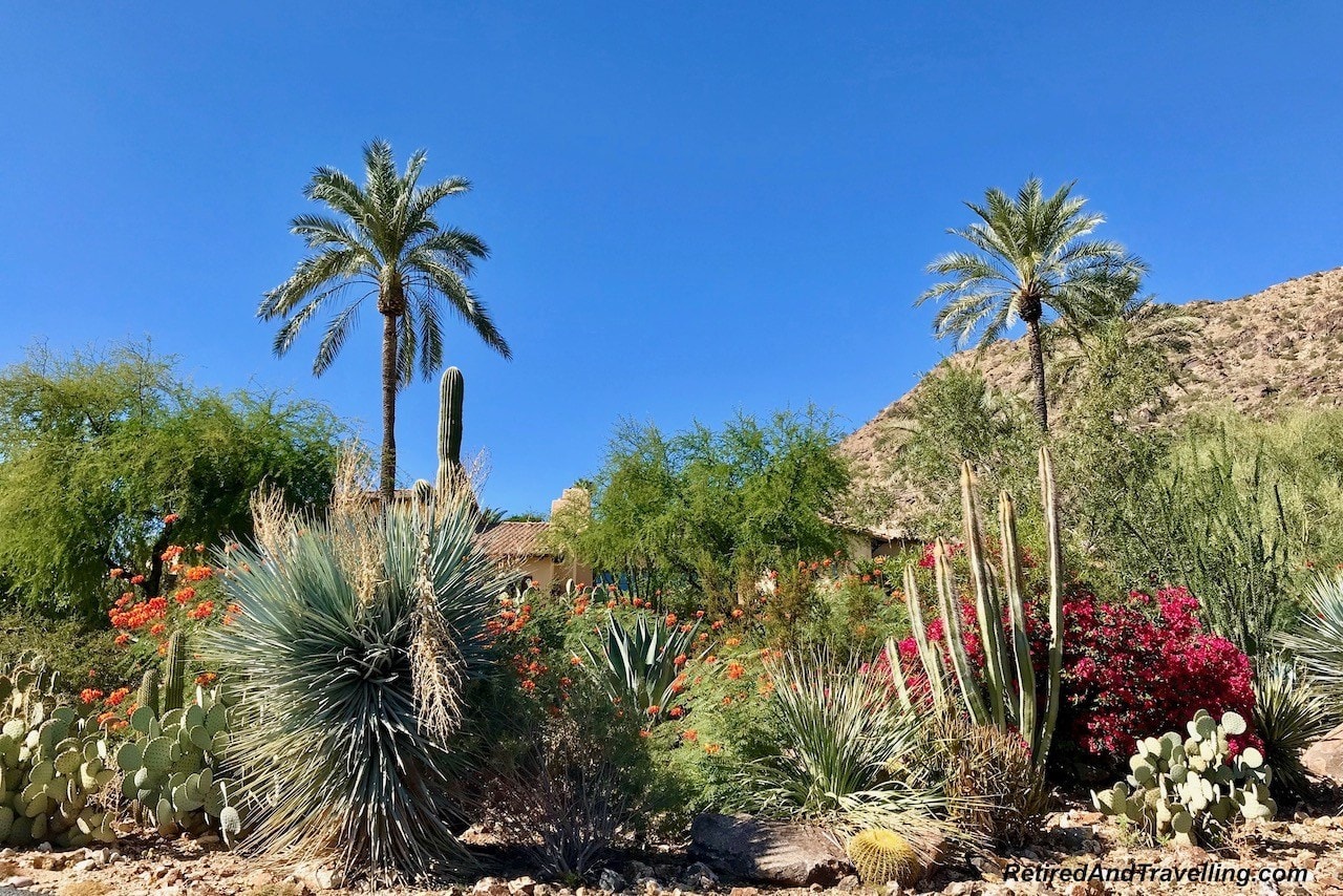 The Different Views Of Scottsdale - Retired And Travelling
