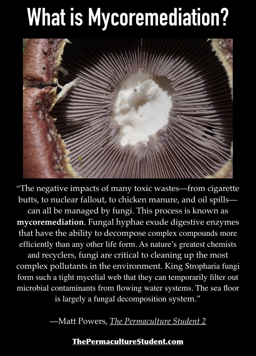 Mycoremediation - Learn more about Fungi with The Permaculture Student 2: http://www.thepermaculturestudent.com/shop/the-p… | Cool science facts, Fungi, Fun science