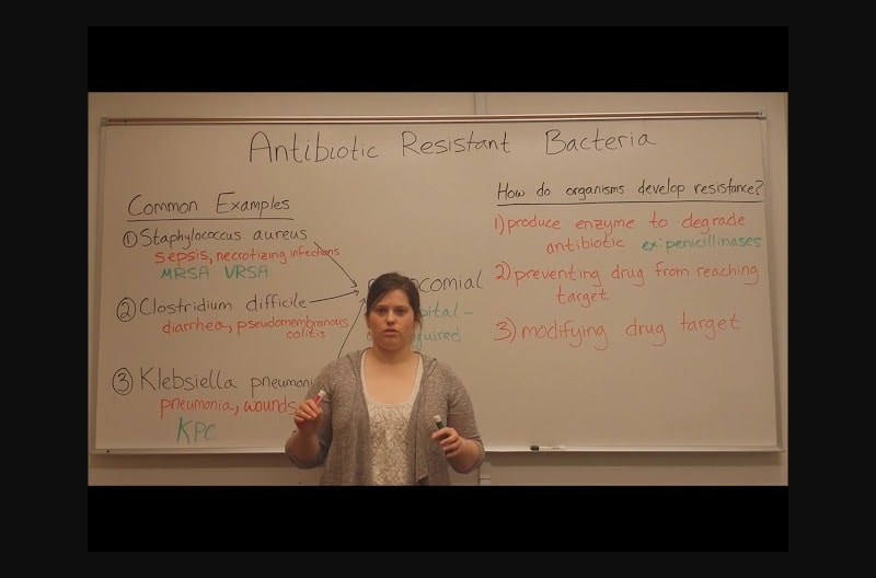 Antibiotic Resistant Bacteria With Dr Whitney Holden