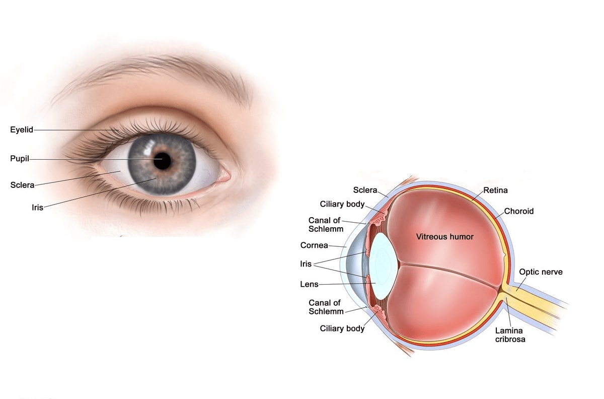 Stem Cell Therapy Optic Nerve Atrophy, Low Cost Optic Nerve Damage Treatment in India