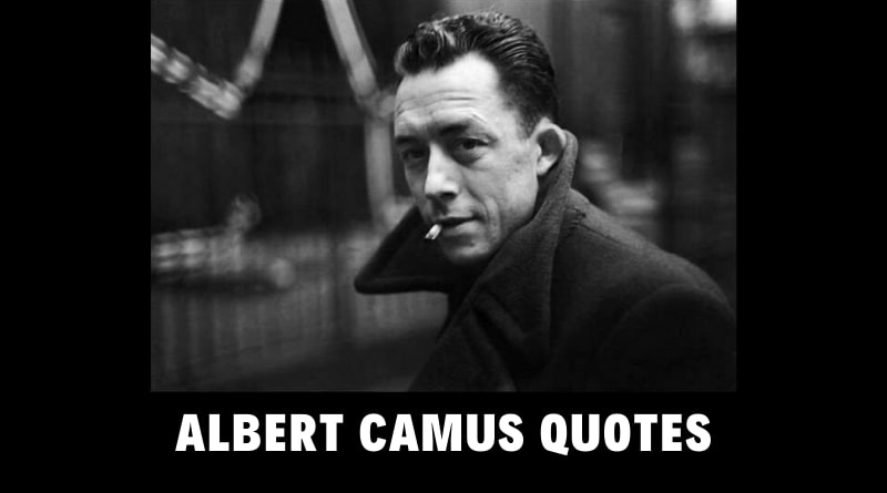 55 Motivational Albert Camus Quotes For Success In Life