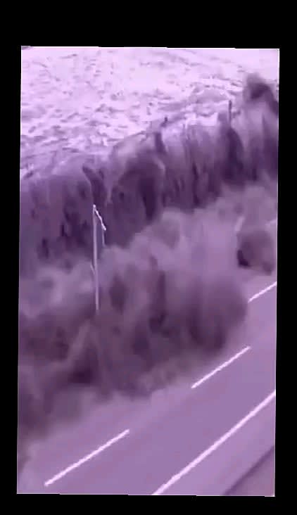 Tsunami japan march 2025