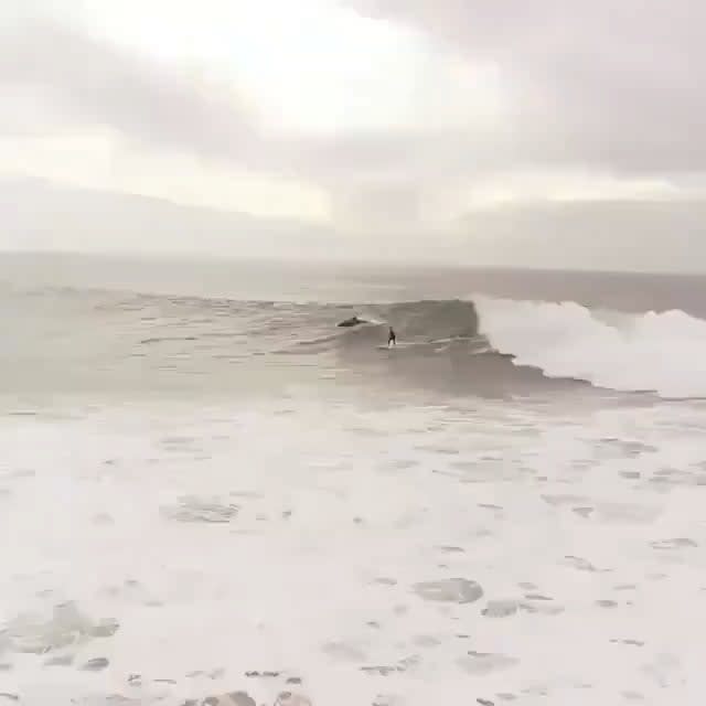 HMRB while I literally surf with the Dolphins.